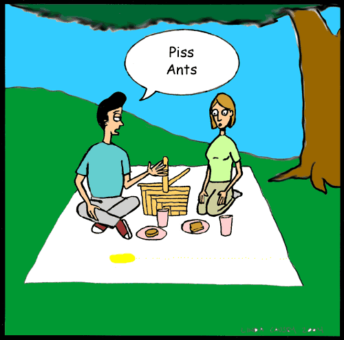 Piss ants