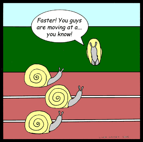 Snail's pace