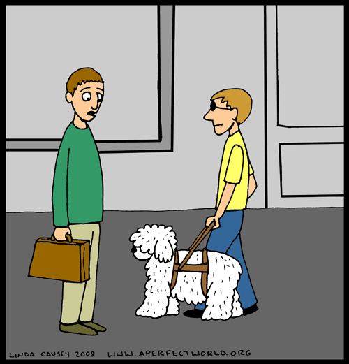 A shaggy seeing eye dog