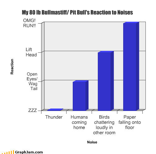 A graph of Loki's reactions to sounds