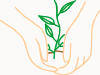 planting01.gif (9936 bytes)