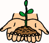 planting02.gif (10802 bytes)