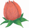 rosebud.png (120898 bytes)