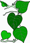 vine02.png (24501 bytes)